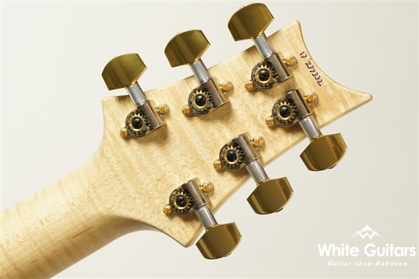 Custom 24 2016 Limited Swamp Ash Body - Blue Matteo